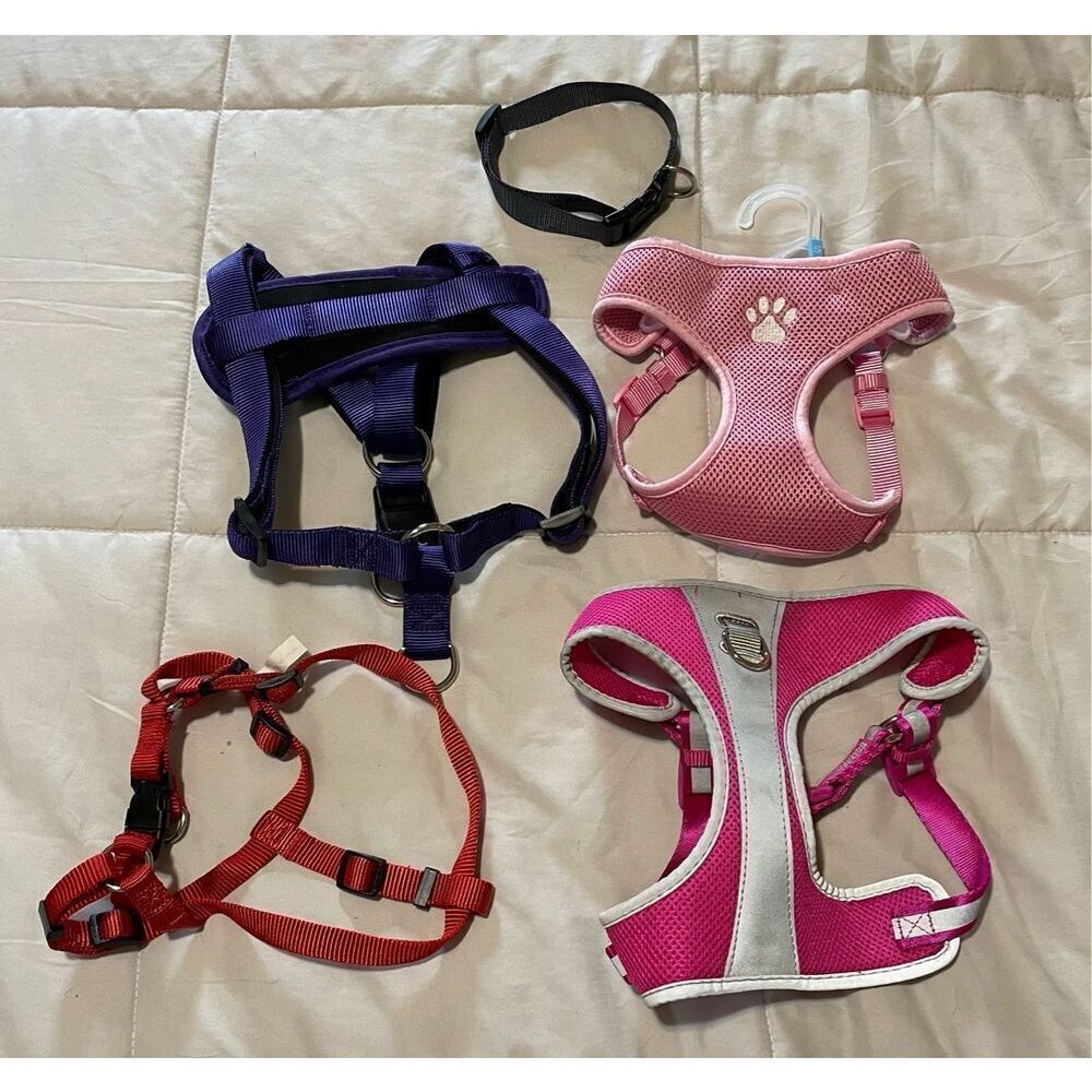 Bundle of four dog harnesses and a collar